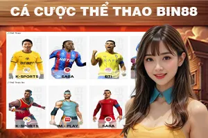 Cá cược thể thao Bin88