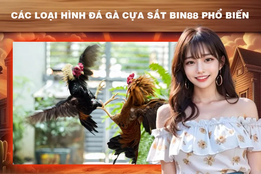 Các Loại Hình Đá Gà Cựa Sắt Bin88 Phổ Biến