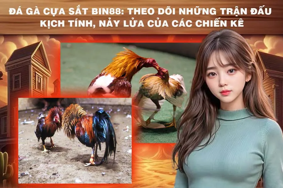 Theo Dõi Những Trận Đấu Kịch Tính, Nảy Lửa Của Các Chiến Kê